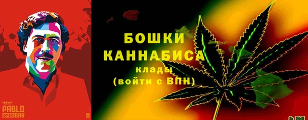 МДПВ Новозыбков