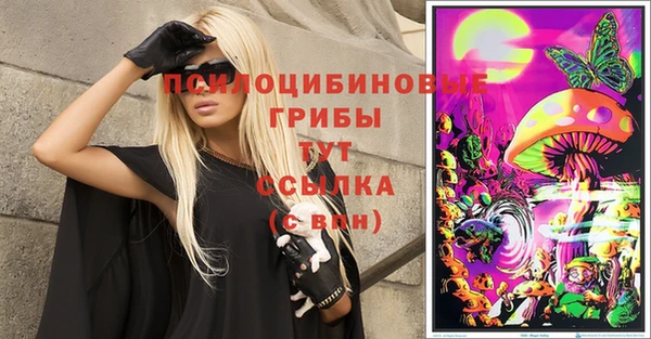 МДПВ Алексин