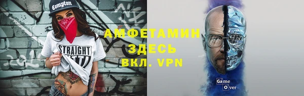 крисы Абаза