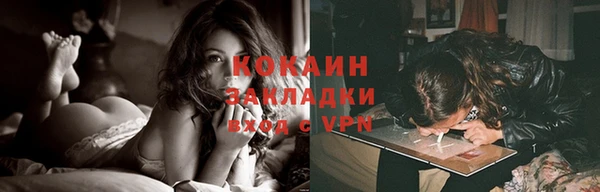 крисы Абаза