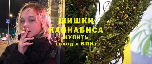 МДПВ Новозыбков