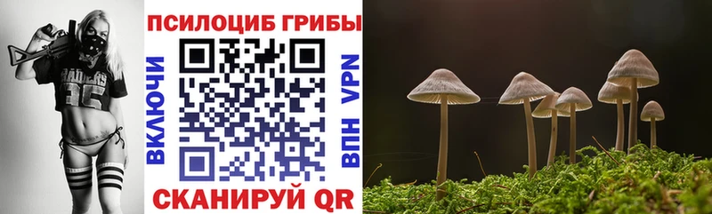 Псилоцибиновые грибы MAGIC MUSHROOMS  Лодейное Поле 